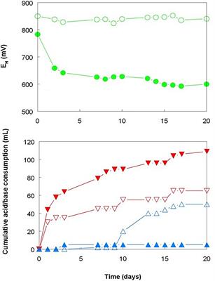 Bioleaching of Transition Metals From Limonitic Laterite Deposits and Reassessment of the Multiple Roles of Sulfur-Oxidizing Acidophiles in the Process